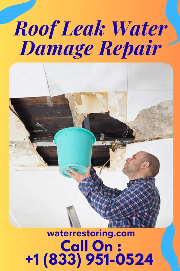 Roof Leak Water Damage Repair in Tunnel Hill, GA