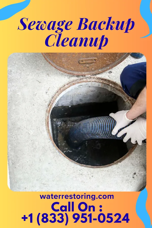 Sewage Backup Cleanup in Tunnel Hill, GA